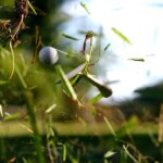 How To Break 100 In Golf How To Break 100 In Golf