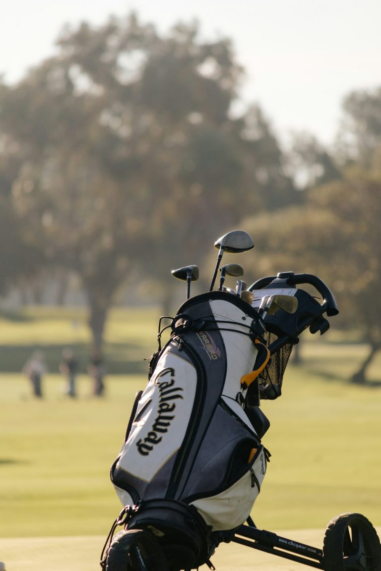 Top 3 Beginner Golf Clubs for Women